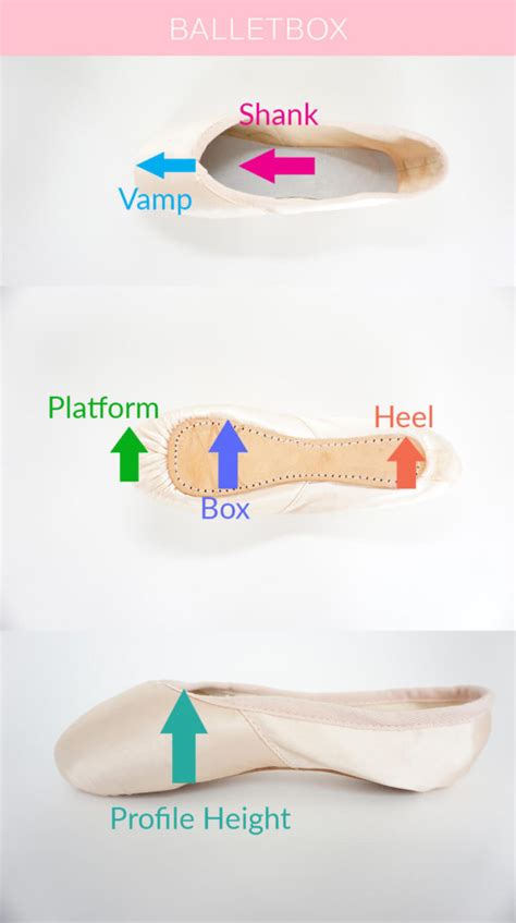 The Complete Pointe Shoe Guide 